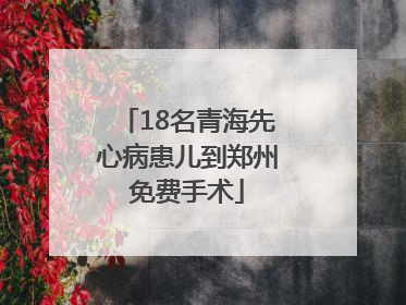 18名青海先心病患儿到郑州免费手术