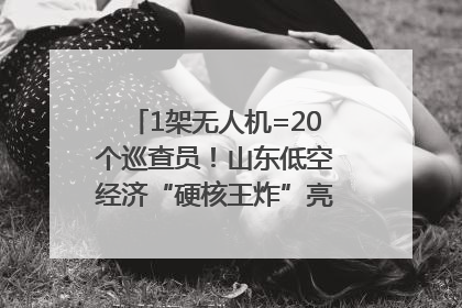 1架无人机=20个巡查员！山东低空经济“硬核王炸”亮相青岛，下一个万亿赛道藏在这里