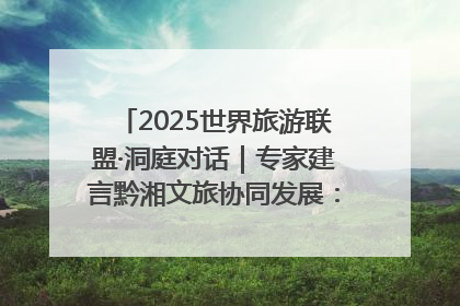 2025世界旅游联盟·洞庭对话｜专家建言黔湘文旅协同发展：聚焦产品稀缺性 深化区域经验共享