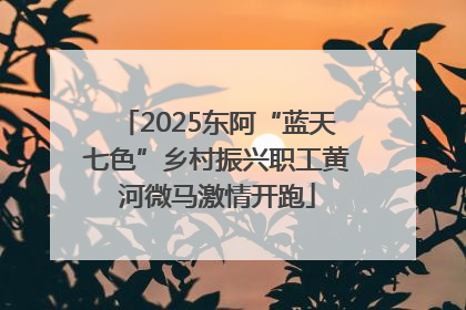 2025东阿“蓝天七色”乡村振兴职工黄河微马激情开跑