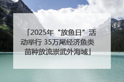 2025年“放鱼日”活动举行 35万尾经济鱼类苗种放流崇武外海域