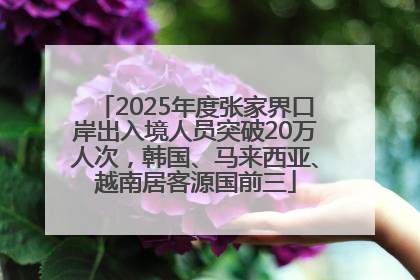 2025年度张家界口岸出入境人员突破20万人次，韩国、马来西亚、越南居客源国前三