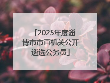 2025年度淄博市市直机关公开遴选公务员