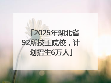 2025年湖北省92所技工院校，计划招生6万人