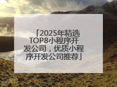 2025年精选TOP8小程序开发公司，优质小程序开发公司推荐