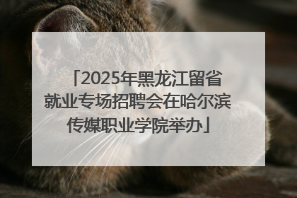 2025年黑龙江留省就业专场招聘会在哈尔滨传媒职业学院举办