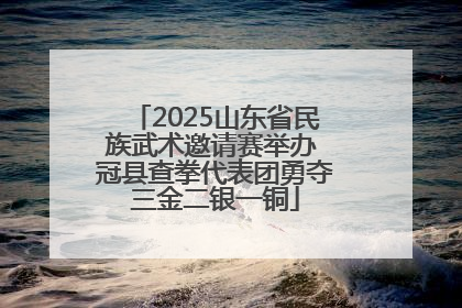 2025山东省民族武术邀请赛举办 冠县查拳代表团勇夺三金二银一铜