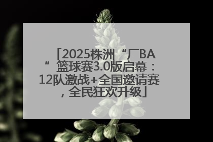 2025株洲“厂BA”篮球赛3.0版启幕：12队激战+全国邀请赛，全民狂欢升级
