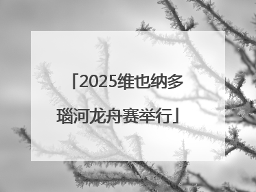 2025维也纳多瑙河龙舟赛举行