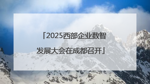 2025西部企业数智发展大会在成都召开