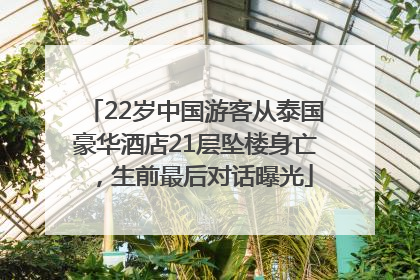 22岁中国游客从泰国豪华酒店21层坠楼身亡，生前最后对话曝光