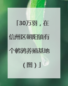 30万羽，在信州区朝阳镇有个鹌鹑养殖基地（图）
