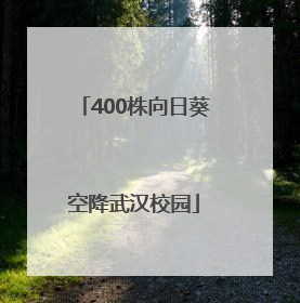 400株向日葵空降武汉校园