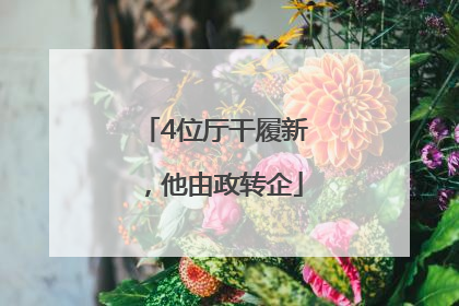 4位厅干履新，他由政转企