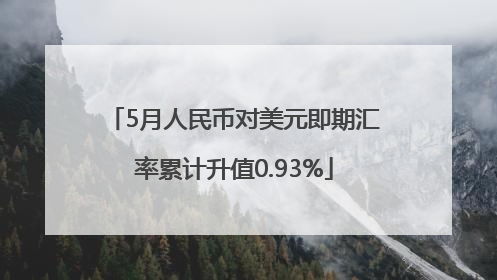 5月人民币对美元即期汇率累计升值0.93%