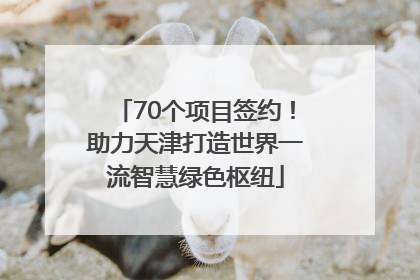 70个项目签约！助力天津打造世界一流智慧绿色枢纽