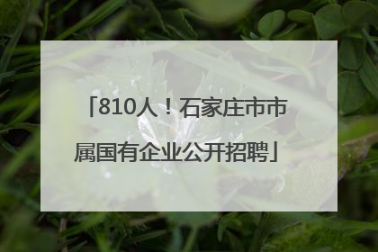 810人！石家庄市市属国有企业公开招聘