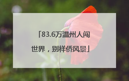 83.6万温州人闯世界，别样侨风景