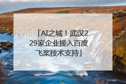 AI之城！武汉229家企业接入百度飞桨技术支持