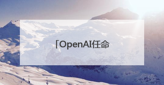 OpenAI任命了一位新CEO