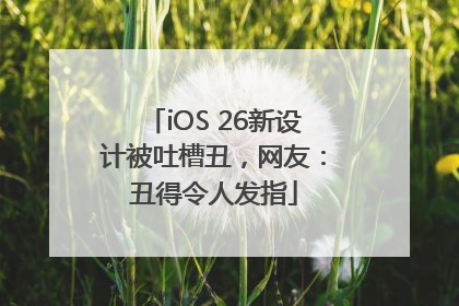 iOS 26新设计被吐槽丑，网友：丑得令人发指